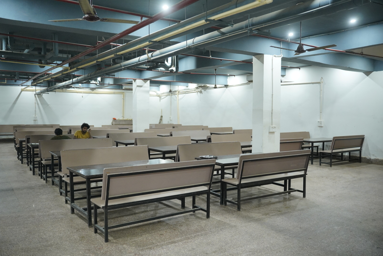 Meal Area
